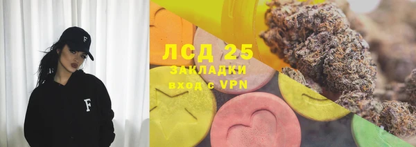 шишки Слюдянка