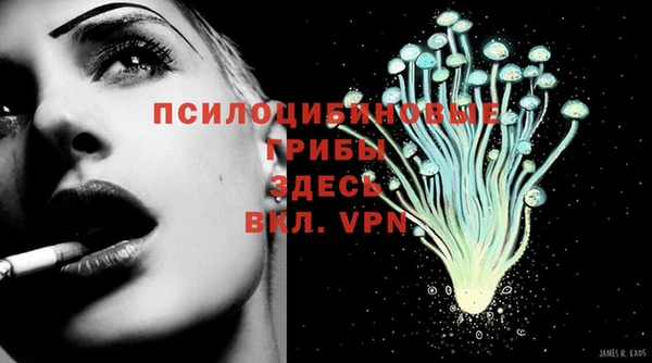 МДПВ Алексин