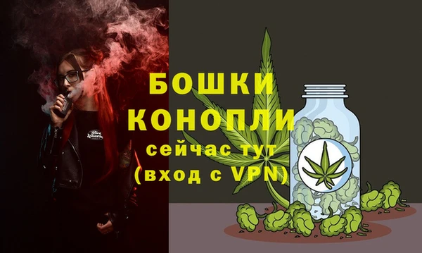шишки Слюдянка
