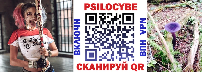 Псилоцибиновые грибы мухоморы гидра зеркало Кола где купить наркоту